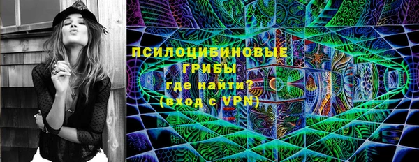 бошки Алзамай