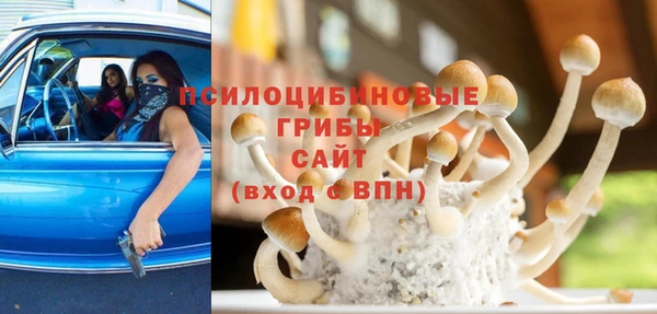 spice Алексин