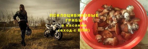 бошки Алзамай