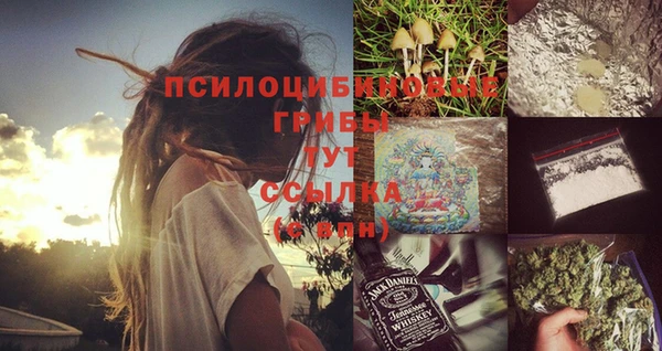 бошки Алзамай