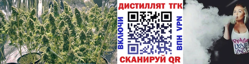 ТГК вейп с тгк  ОМГ ОМГ маркетплейс  Краснообск 