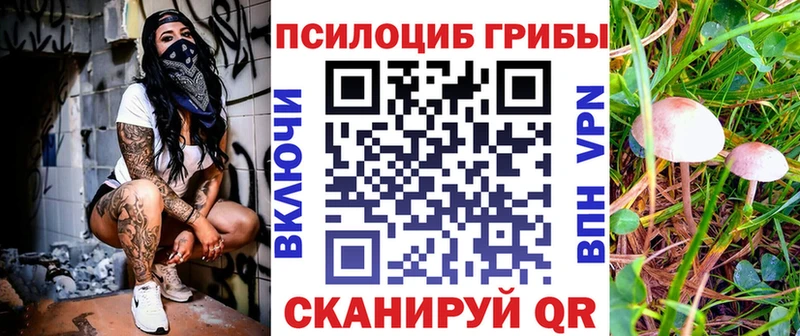 Галлюциногенные грибы мицелий  MEGA ССЫЛКА  Краснообск  купить наркотик 